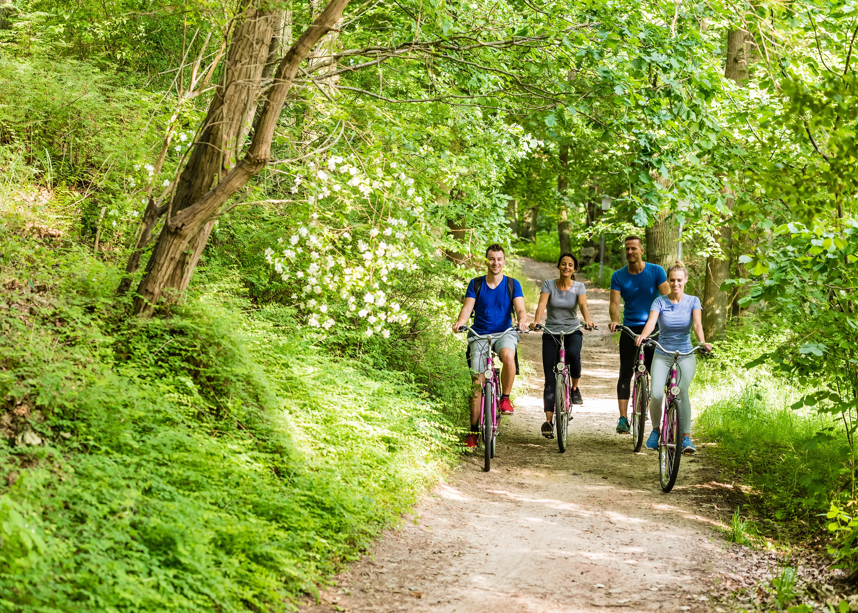 Umgeben von viel Natur in der Lüneburger Heide machen vier Menschen eine Radtour durchs die herrlich grüne Landschaft.